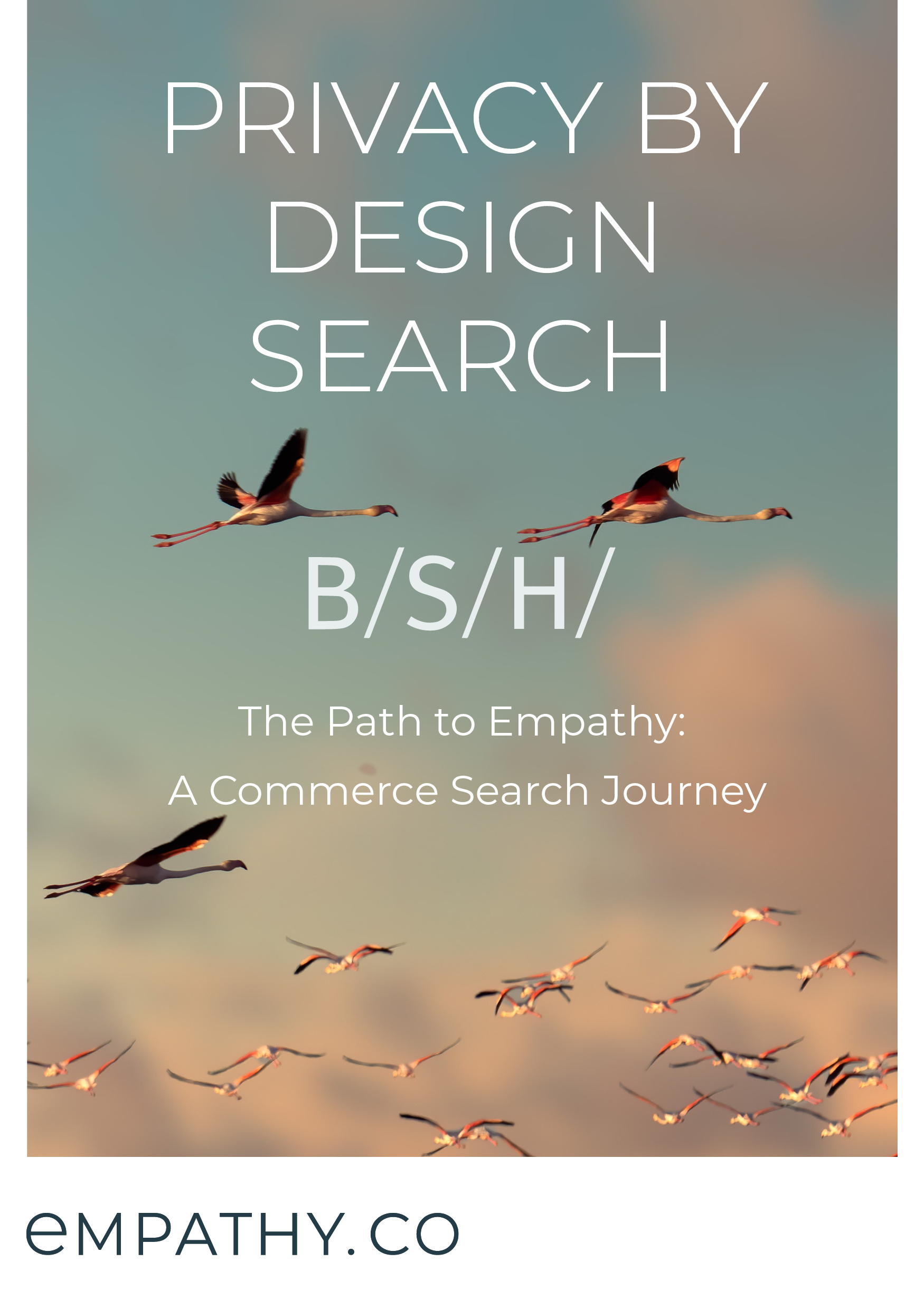 BSH: Privacy by Design Search the path to Empathy